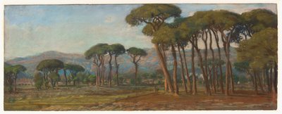 Weitläufige Landschaft mit einem Dorf und Hügeln in der Ferne von Felix Hippolyte Lanoue