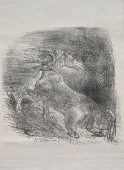 Das wilde Pferd oder erschrockenes Pferd verlässt das Wasser, 1828 von Ferdinand Victor Eugene Delacroix