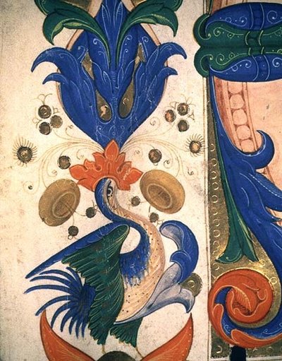 Missale 515 1r Zoomorpher Blattbordüre, Detail aus einem Chorbuch, vor 1449 ausgeführt (Detail) von Filippo di Matteo Torelli