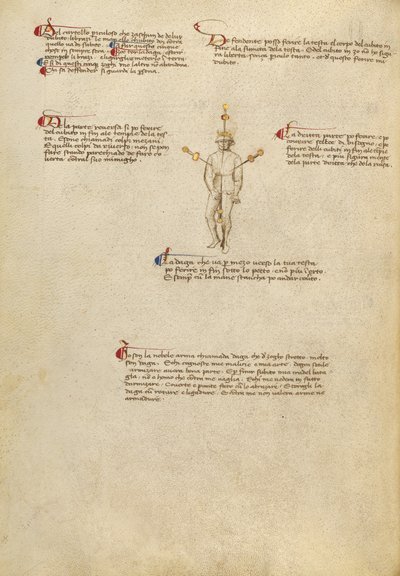 Zielpunkte am Körper von Fiore Furlan dei Liberi da Premariacco