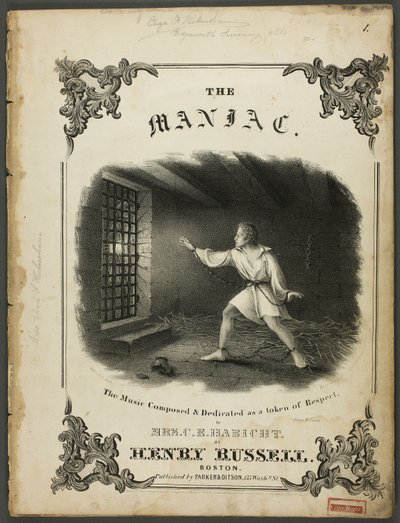 Der Wahnsinnige von Fitz Henry Lane