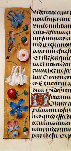 Ms. 1058-1975, f.22v: (Detail) einer floralen Bordüre aus einem Stundenbuch, ca. 1500 von Flemish School