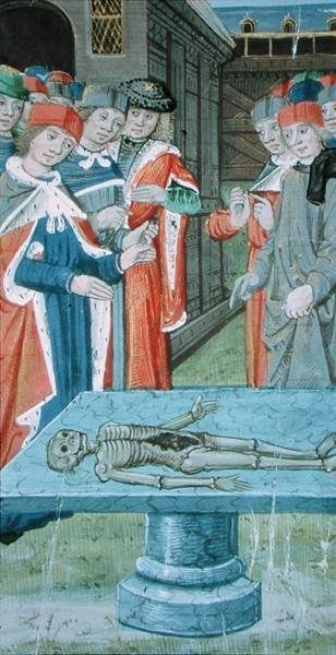 Ms Hunter 9 f.12v Dissektion, aus 
