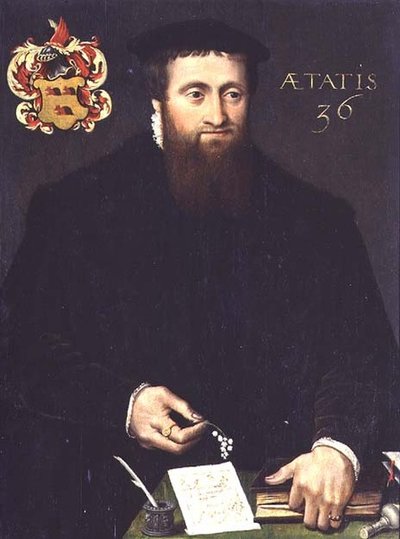 Porträt eines Gelehrten, möglicherweise eines Mathematikers, im Alter von 36 Jahren von Flemish School