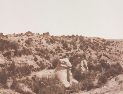 Sphinxen mit Menschenkopf und mit Widderkopf bei Punkt Y. Karnak Theben von Félix Teynard