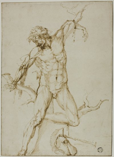 Marsyas an einen Baum gebunden von Follower of Baccio Bandinelli