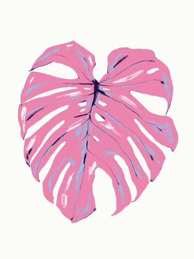 Tropische Pinke Monstera von Francesco Gulina