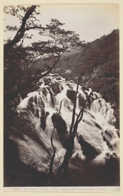 Bettw-s-y Coed, Die Schwalbenfälle von oben von Francis Bedford