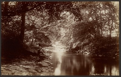 Elwy Fluss, Cefn von Francis Bedford