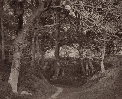 Glen Kenilworth von Francis Bedford