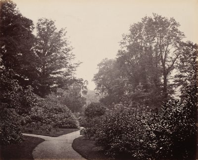  von Francis Bedford
