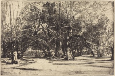  von Francis Seymour Haden