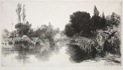 Shere Mill Pond, Nr. 11 (Die große Platte) von Francis Seymour Haden
