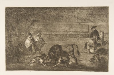 Tafel C: Die Hunde auf den Stier losgelassen, ca. 1816 von Francisco de Goya