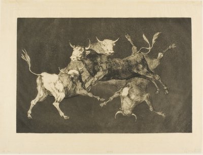 Narrens Torheit, aus Disparates von Francisco Jose de Goya y Lucientes