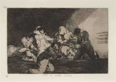 Man kann es nicht ansehen von Francisco Jose de Goya y Lucientes