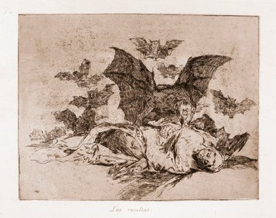 Die Schrecken des Krieges: Die Ergebnisse (Radierung nach einer Vorzeichnung) von Francisco de Goya