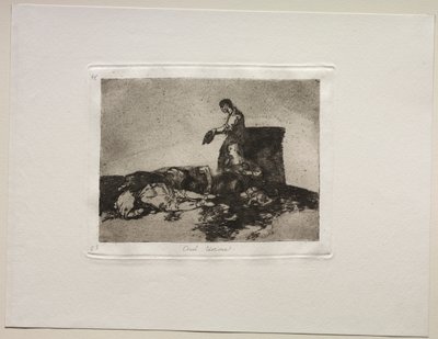 Die Schrecken des Krieges: Grausame Geschichte des Elends von Francisco de Goya