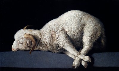 Agnus Dei von Francisco de Zurbaran