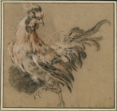 Studie eines Hahns von François Boucher