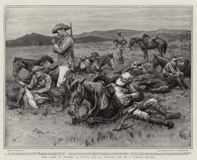 Die Pflege der Pferde in Südafrika, erschöpft nach einem Gewaltmarsch von Frank Dadd