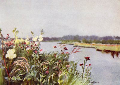 Norfolk Broads: Ein Bure-Ufer von Frank Southgate
