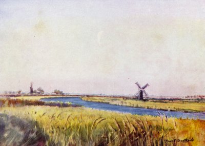 Norfolk Broads: Oberhalb von St Olaves von Frank Southgate