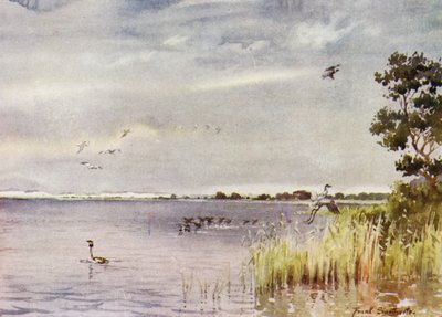 Norfolk Broads: Horsey Mere von Frank Southgate