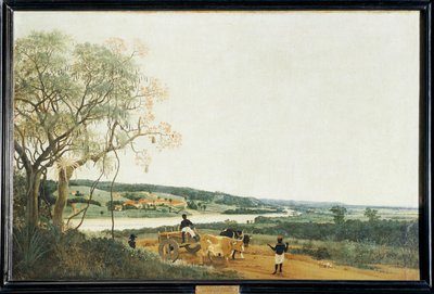 Der Ochsenkarren, brasilianische Landschaft von Frans Jansz Post