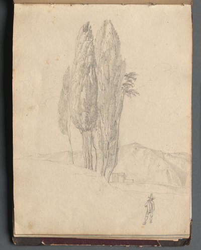 Album mit Ansichten von Rom und Umgebung, Landschaftsstudien, Seite 20a: Bäume von Franz Johann Heinrich Nadorp