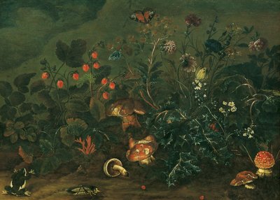 Rasen mit Erdbeeren und Fliegenpilz von Franz Michael Sigismund von Burgau the Elder