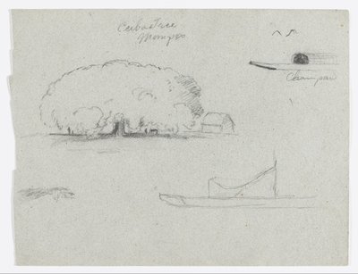 Ceiba-Baum in Mompos, Champan-Kanu, Bäume und ein Teil eines Bootes, Rio Magdalena, Kolumbien von Frederic Edwin Church