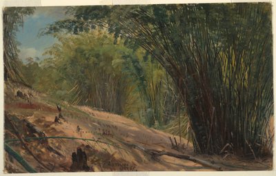 Bambushain, Jamaika von Frederic Edwin Church
