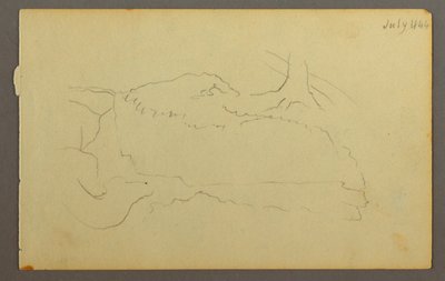 Baumstamm, Felsen von Frederic Edwin Church