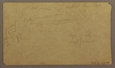 Zeichnung, Botanische Skizzen; Rückseite: Wolken, Juli 1865 von Frederic Edwin Church