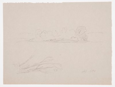 Zeichnung, Botanische Skizzen: Landschaft, Bäume an einem Ufer, September 1876 von Frederic Edwin Church