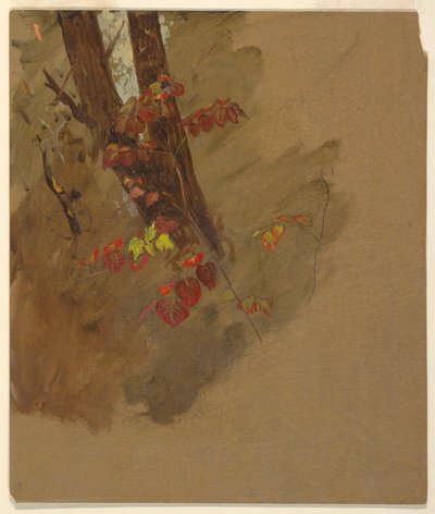 Zeichnung, Botanische Studien, 1860–70 von Frederic Edwin Church
