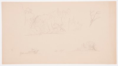 Zeichnung, Botanische Skizzen: Baum, Bäume am Ufer, September 1876 von Frederic Edwin Church