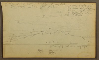 Zeichnung, Kühe in Landschaft; Rückseite: Bambus, 1857 von Frederic Edwin Church