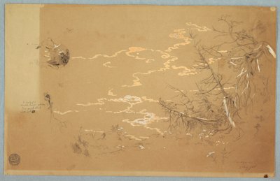 Detailansicht des Randes der kanadischen Bank, August 1858 von Frederic Edwin Church