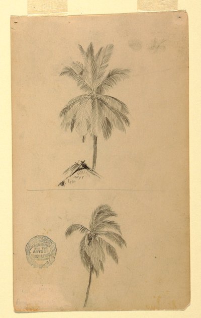 Zeichnungen. Zwei Skizzen. Palmen, 1857 von Frederic Edwin Church