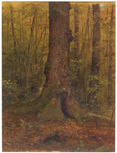 Im Wald, wahrscheinlich Maine, 1850–60 von Frederic Edwin Church