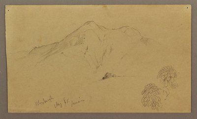 Zeichnung, Landschaft, Pflanzen, Bloxburgh, August 1865 von Frederic Edwin Church