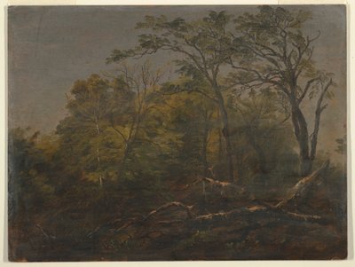 Zeichnung, Wälder von Maine, 1845-55 von Frederic Edwin Church