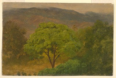 Zeichnung, Berglandschaft, August 1865 von Frederic Edwin Church