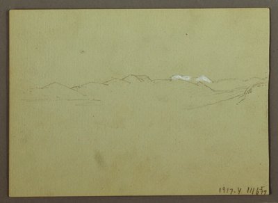 Pflanzen- und Landschaftsstudie von Frederic Edwin Church
