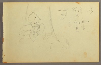 Pflanzenstudie, Gesichter von Frederic Edwin Church