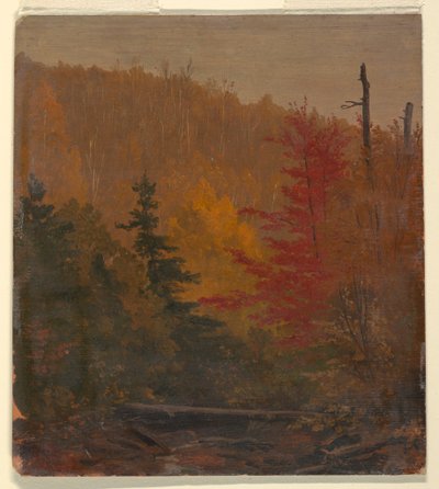Zeichnung, Wahrscheinlich in der Nähe von Katahdin, Herbst, 1865–70 von Frederic Edwin Church