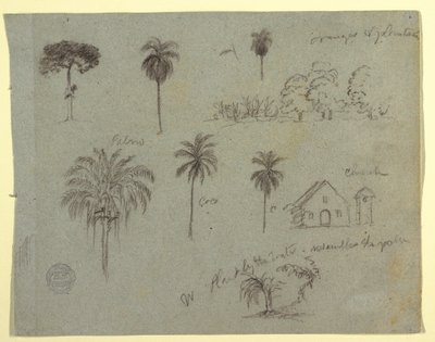 Skizzen vom Rio Magdalena, Kolumbien: Botanische Studien und eine Kirche, Mai 1853 von Frederic Edwin Church