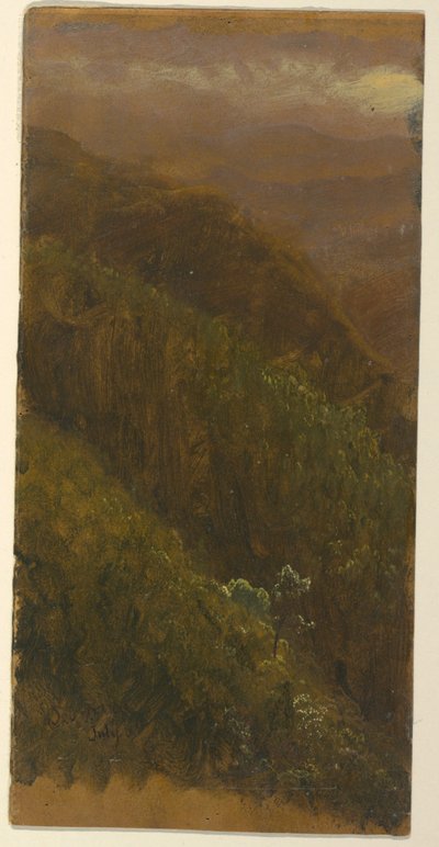 Zeichnung, Steiler Hang, Juli 1865 von Frederic Edwin Church